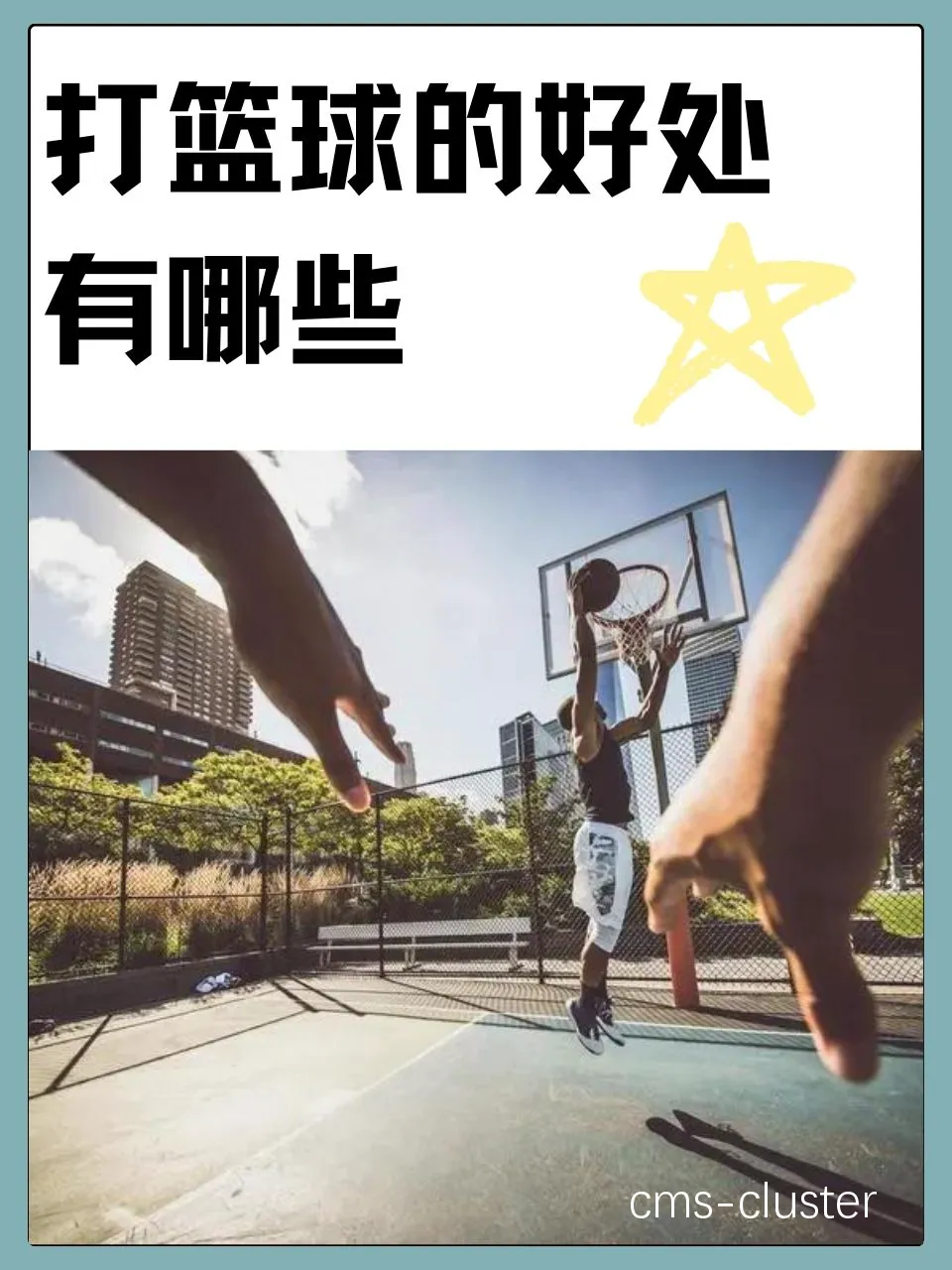 哪里有针对青少年的篮球声誉培养计划_2